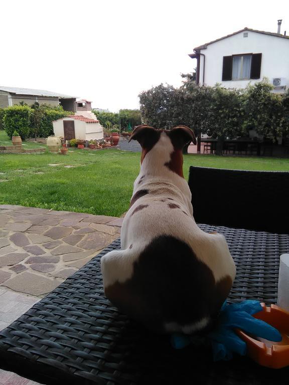 Agriturismo Valbona Villa Castiglione della Pescaia Kültér fotó